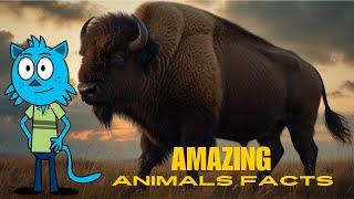 The Mighty American Bison