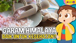 Mengenal Manfaat Garam Himalaya Bagi Kesehatan Tubuh yang Semakin Banyak Digemari