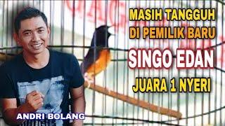 Masih Tangguh Meski Beda Pemilik ‼️ Singo Edan Nyeri ‼️ Ngabuburit feat SMM & SGS