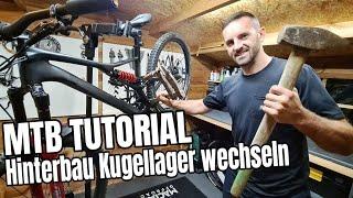 Kugellager am MTB Hinterbau wechseln  Mountainbike Tutorial  Specialized Stumpjumper