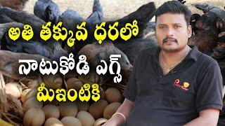 అతి తక్కువ ధరలో నాటు కోడి ఎగ్స్ మీ ఇంటికి  Fresh Chicken and Egg Home Delivery  9107249249