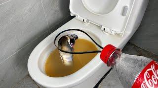 102 most urgent skills everyone needs to apply in lifeLatest revelations from plumber At New Levels