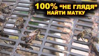 Как найти матку без поиска? 100% обнаружение матки.