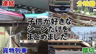 【子供向け】集中して見る新幹線や踏切特集