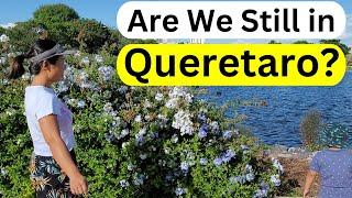 Where to live in Queretaro Mexico? Our Favorite Suburb Neighborhoods