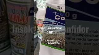 Review Insektisida Confidor 5 WP #insektisida