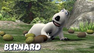 Bernard Bear  A Bunch of Coconuts AND MORE  Cartoons for Children  Full Episodes