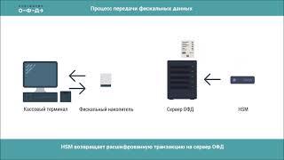 Как работает ОФД. Процесс передачи данных в ФНС