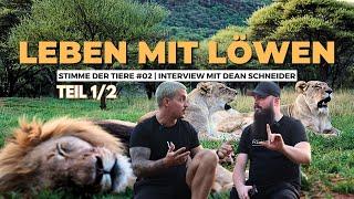 Leben mit Löwen  Dean Schneider im Interview Teil 1