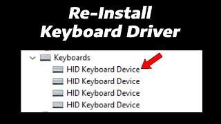 How To Re-Install Keyboard Driver in Windows 11 2 Easy Methods  Update Keyboard Drivers