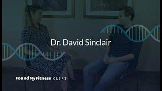 Resveratrol supplementation and dosage David Sinclairs personal experience