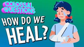How Do We Heal?  COLOSSAL QUESTIONS