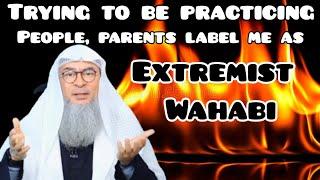 Trying to become practicing muslim but people parents label me as extremist wahabi Assim al hakeem
