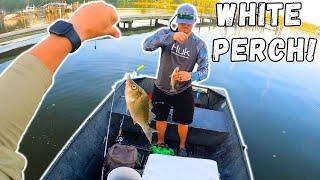 Catching The BEST Tasting FISH In The Chesapeake Bay White Perch Catch Clean Cook