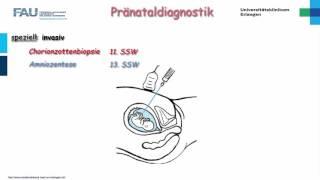 Gynäkologie ─ Pränataldiagnostik Teil 22