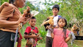 Build a chicken coop fence around the house and buy chickens to raise.