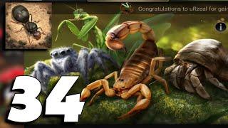 The Ants Underground Kingdom - Gameplay Part 34 Android iOS - Max Level