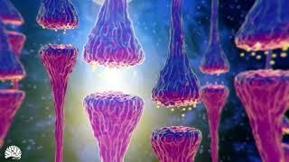 528hz Miracle Tone  Dna Repair & Healing Nerve And Cell Regeneration Complete Body Healing