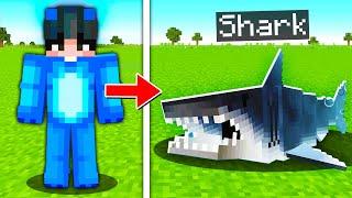 I Pranked My Friend as a Shark in Minecraft