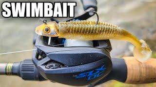 Bank Fishing with a Paddle Tail Swimbait Reaction Innovations Skinny Dipper