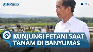 Presiden Jokowi Kunjungi Petani Sedang Tanam di Banyumas