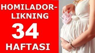 HOMILADORLIKNING 34-HAFTASI  ХОМИЛАДОРЛИКНИНГ 34-ХАФТАСИ