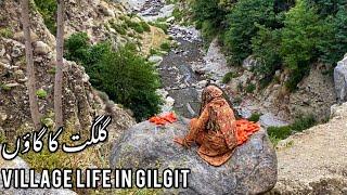 Village Life in Gilgit Baltistan  Bargo Pine   Village Food Secrets  Pakistan Documentary