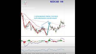 NZDCAD BUY TRADE TRADING STRATEGY FULLY EXPOSED #forex #forexeducation #forextrading #shorts