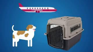 HOW TO SIZE YOUR PETS TRAVEL CRATE