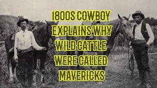 1880s Cowboy Explains Why Wild Cattle Were Called Mavericks