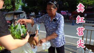 My mother-in-law picked some fresh red sweet potato tips and went to set up a stall with some veget