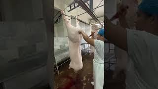 Daily life of a lady Butcher Slaughterer