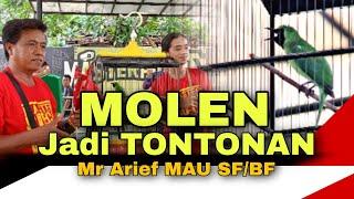 Wajib Tonton  C Hijau {MOLEN} Jadi Tontonan 1 Lapangan MASTERPIECE ARENA  Mr Arif MAU SFBF