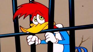 Woody Woodpecker Show  Woody in JAIL  Videos For Kids