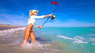 Beach Fishing for Bluefish Catch & Cook