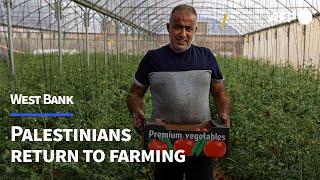 Palestinians return to farming as war halts Israeli work permits  AFP