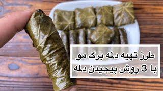 طرز تهیه دلمه برگ مو به همراه سه روش پیچیدن دلمه