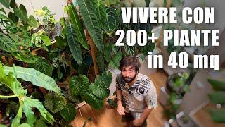 VIVERE CON 200+ PIANTE in 40 mq  PLANT TOUR