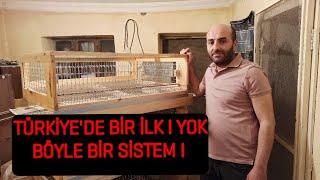 TÜRKİYEDE BİR İLK   YOK BÖYLE BİR KAFES SİSTEMİ  #kalebıldırcın