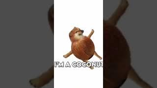 im a coconut