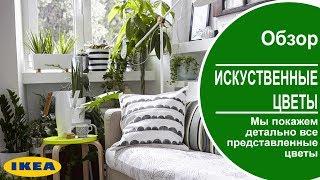 Искусственные цветы в икеа  Мы покажем все цветы представленные в ikea