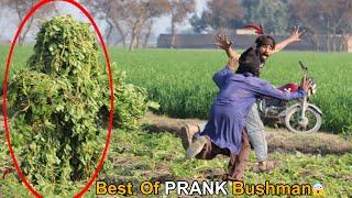 TOO Funniest BUSHMAN PRANK Great Reaction  Best Hilarious Video Ever