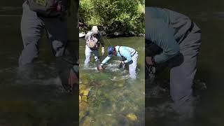 Master Guide Cheech  #flyfishfood  #flyfishing