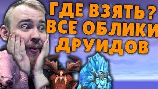 ОБЛИКИ ДРУИДА ТРАНСМОГРИФИКАЦИЯ БАЛАНС ДРУИД SHADOWLANDS WOW ФЕРАЛ МЕДВЕДЬ ДРУИД ХИЛ  ГАЙД IVELKNOW