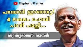 പാമ്പാടി ഇടഞ്ഞു പണി പാളി  elephant frames  pampadi rajan  Episode 4