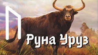 Руна Уруз. Основные значения и энергетика.