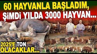 60 Hayvanla Başladık Şimdi Yılda 3 Bin Büyükbaş Kurbanlık Elimizden Geçiyor  Ova Çiftlik İstanbul