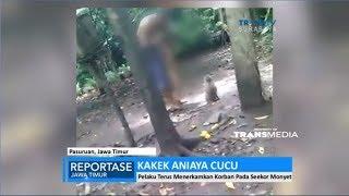 Miris Tuduh Cucu Mencuri Uang Kakek Mengumpani Cucunya ke Monyet