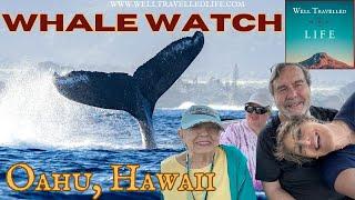 Whale Watching Spectacle in Oahu Hawaii