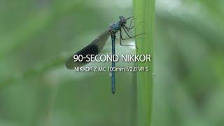 90-SECOND NIKKOR  Episode 7  NIKKOR Z MC 105mm f2.8 VR S